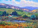 SOLD_Vineyards_of_Oyama